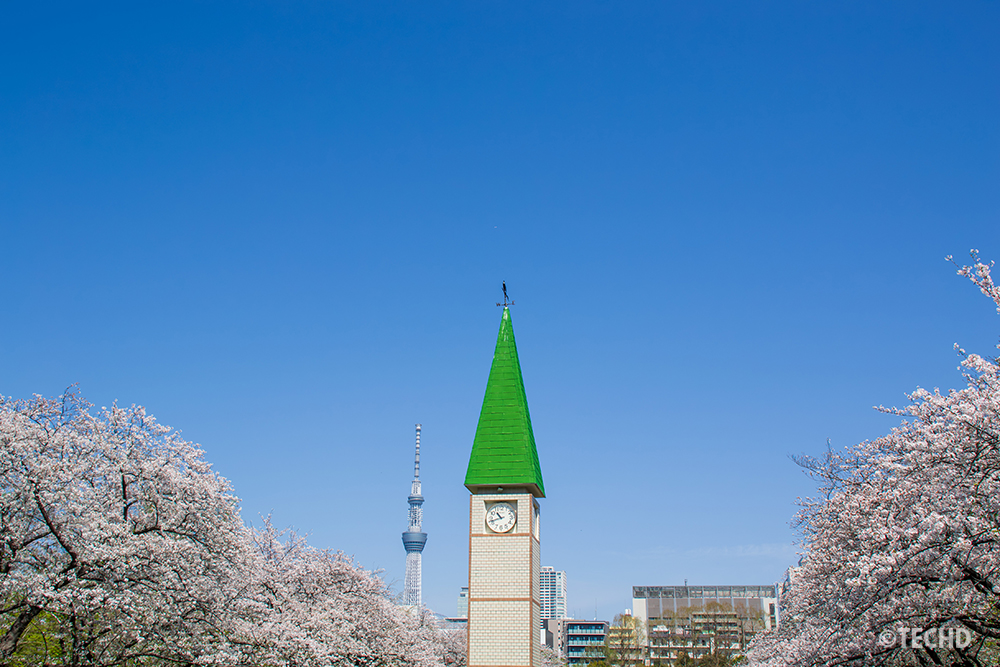 2026年4月3日の猿江恩賜公園。青空の下、中央の時計台とその左奥にそびえる東京スカイツリー。左右から満開の桜が包み込むような絶景のコラボレーション。