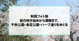 秋田フォト旅｜桜の咲き始めから満開まで、千秋公園・本荘公園・ハーブ通りをめぐる