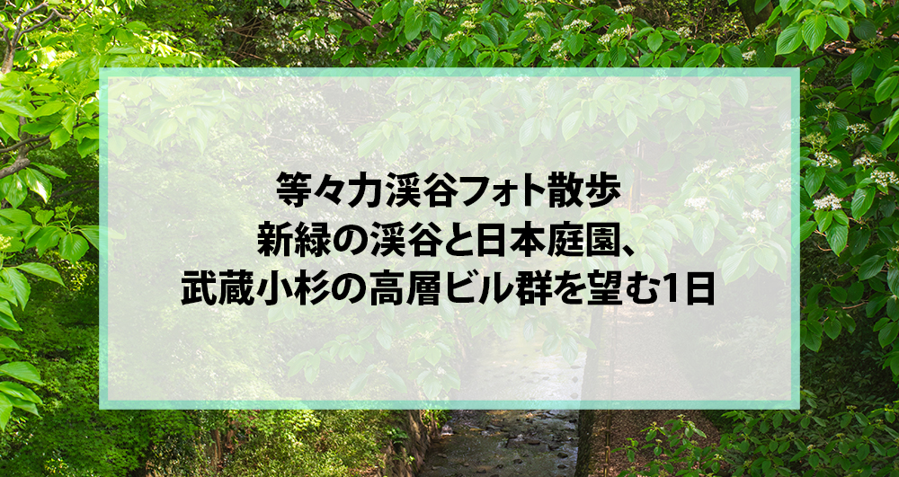 等々力渓谷フォト散歩｜新緑の渓谷と日本庭園、武蔵小杉の高層ビル群を望む1日