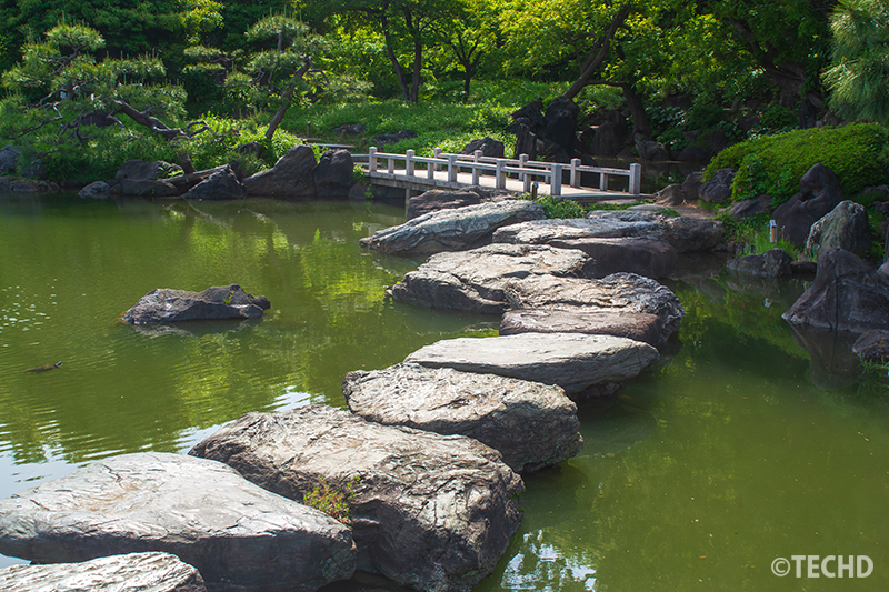 岩と緑のリフレクションが美しい、庭園の力強さを感じる一枚