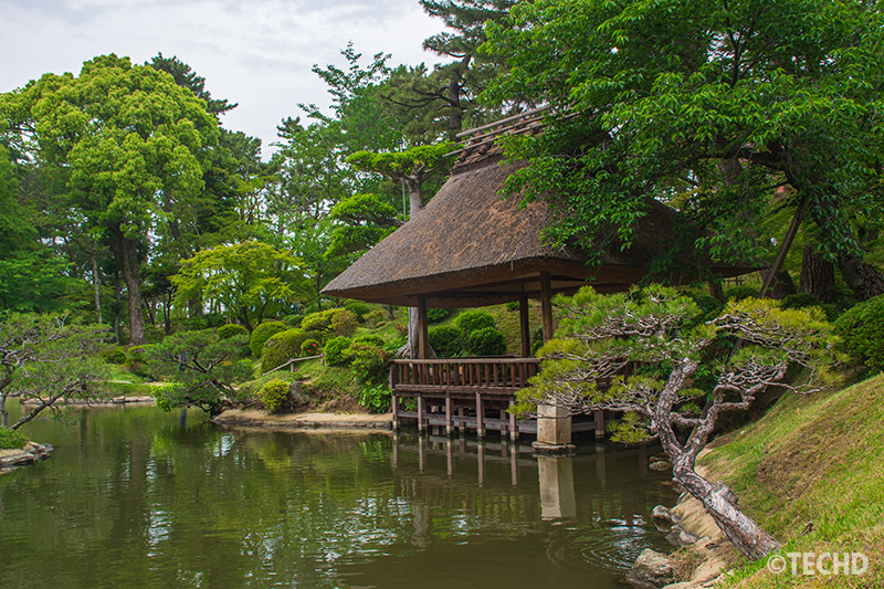 木々の緑に包まれるように建つ悠々亭