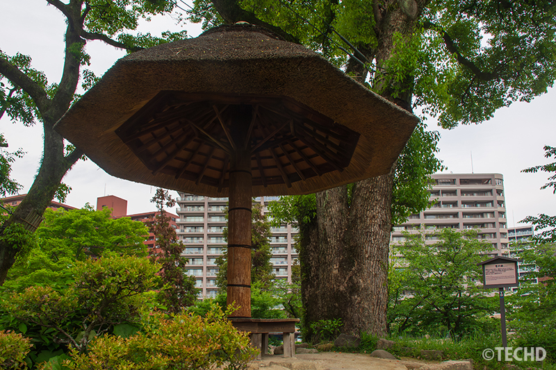 茅葺き屋根の独特な形が印象的な看花榻(かんかとう)
