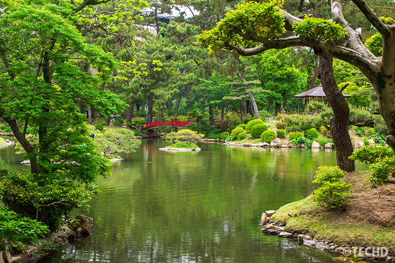 濯纓池と緑の木々の囲まれた風景