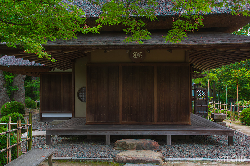 明月亭と青もみじの風景