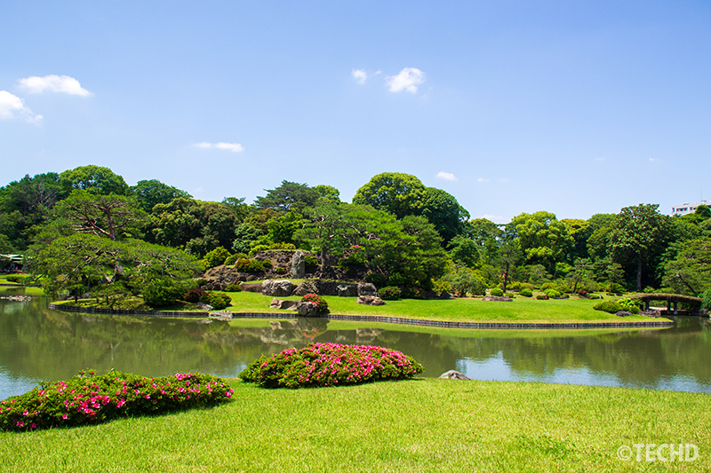 六義園の中の島にある妹山・背山。池と青空、新緑のリフレクション風景。