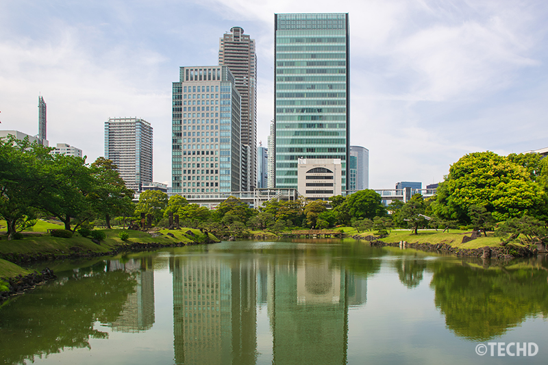 高層ビルの全景と池の水面に映るリフレクションも取り入れた一枚。庭園の自然と都会の融合を表現