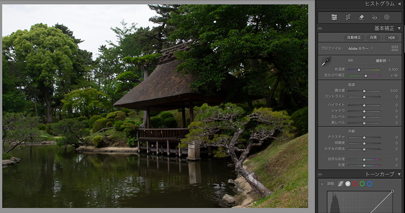 Lightroomで編集する前(ビフォー)の画像