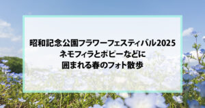 昭和記念公園フラワーフェスティバル2025｜ネモフィラとポピーなどに囲まれる春のフォト散歩