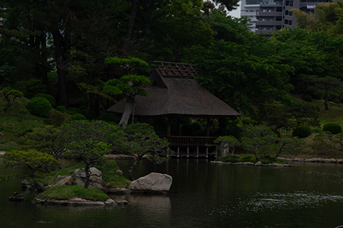 編集前の日本庭園の風景。全体が暗く、緑の色味や建物のディテールが見えにくくなっている状態。