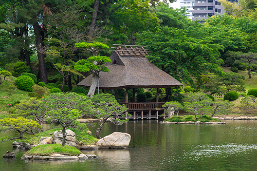 Lightroomで明るさと色味を調整した後の日本庭園の風景。緑が鮮やかに映え、茅葺き屋根の建物がはっきり見えるようになった。