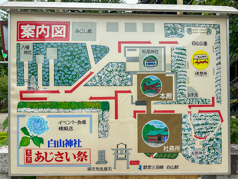 文京あじさい祭の案内図