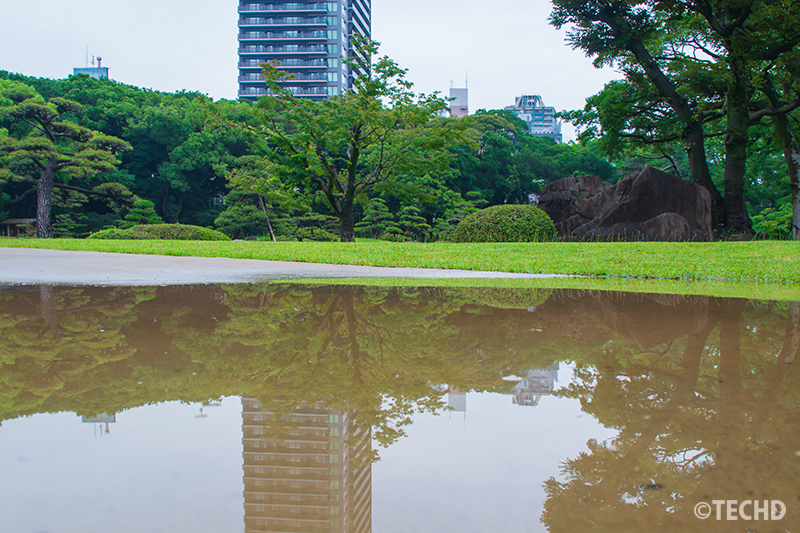 水たまりに映る風景のリフレクション