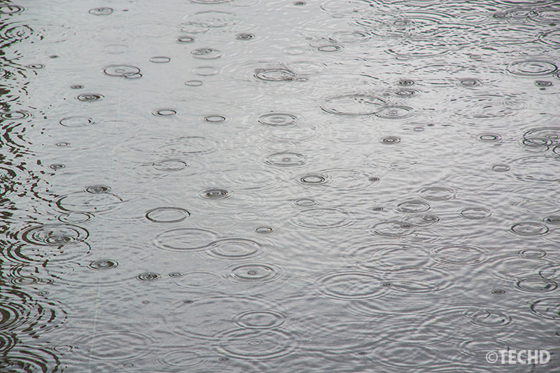 水たまりに落ちる雨粒が作る波紋
