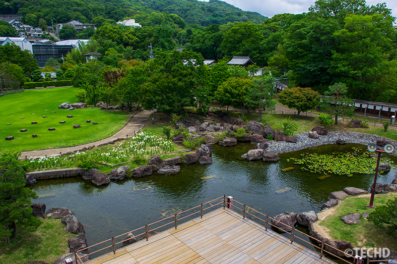展望台から望む園内の風景