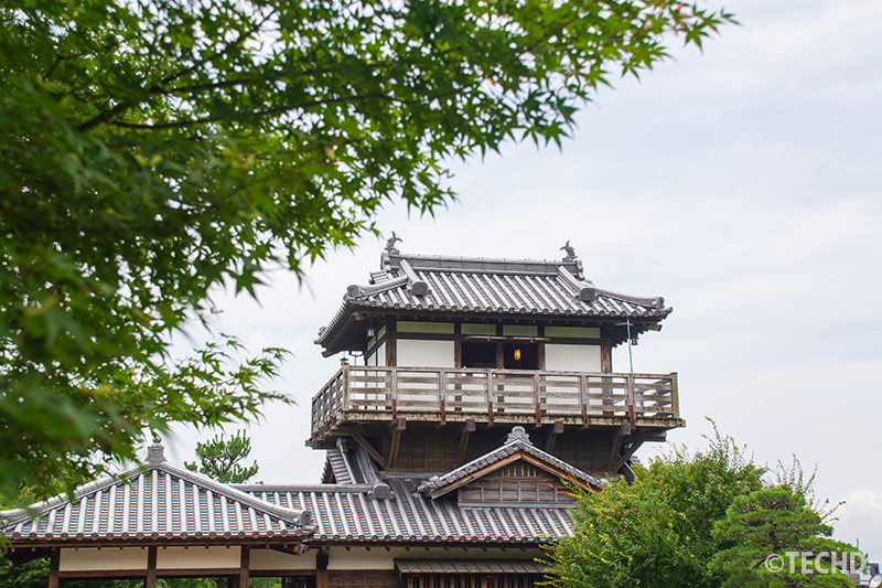 緑に囲まれた中に堂々と建つ櫓風の建物