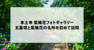 本土寺 紫陽花フォトギャラリー｜五重塔と紫陽花の名所を初めて訪問