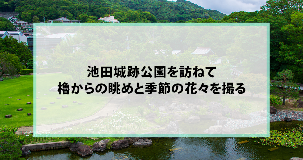 池田城跡公園を訪ねて｜櫓からの眺めと季節の花々を撮る