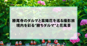 勝尾寺のダルマと紫陽花を巡る撮影旅｜境内を彩る“勝ちダルマ”と花風景