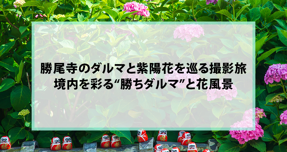 勝尾寺のダルマと紫陽花を巡る撮影旅｜境内を彩る“勝ちダルマ”と花風景