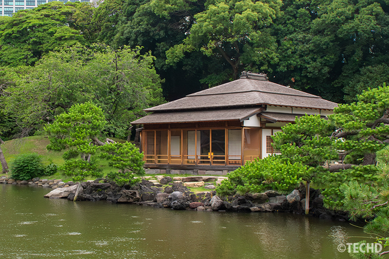 浜離宮恩賜庭園の燕の御茶屋と剪定された黒松の風景。池越しに眺める伝統的な和の建築と庭園。