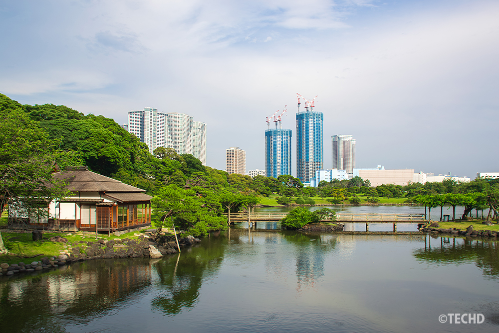 曇り空の浜離宮恩賜庭園の風景写真。曇天のためストックフォトに出さなかった未編集の元写真。