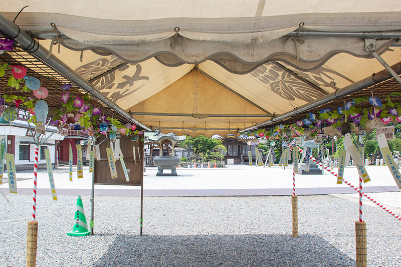 西新井大師の風鈴祭りで、テントの内部にたくさんの風鈴が吊るされている様子。装飾と短冊が涼やかな印象。