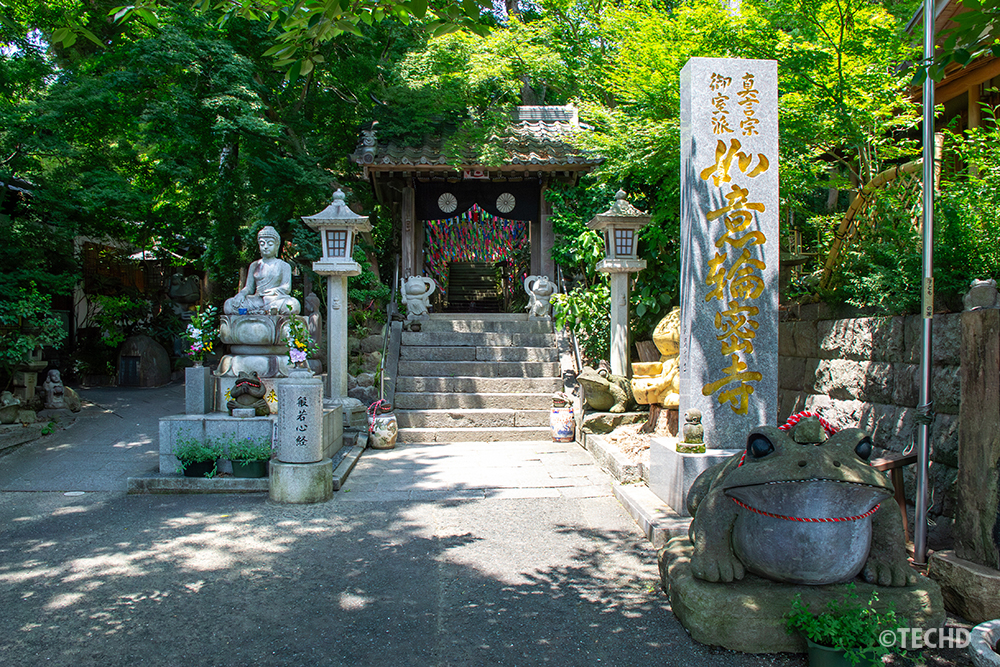 如意輪寺の参道入口に立つ石碑と、大きなカエル像。背景には木々に囲まれた本堂への階段が続く。