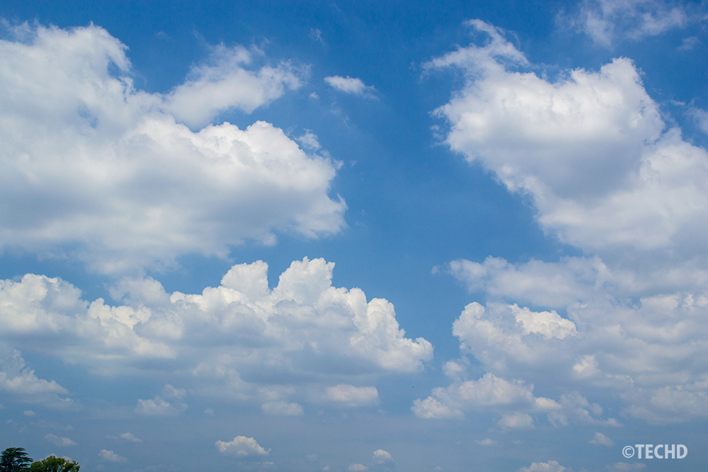 青空写真で、端に木が写り込んでいる編集前の状態
