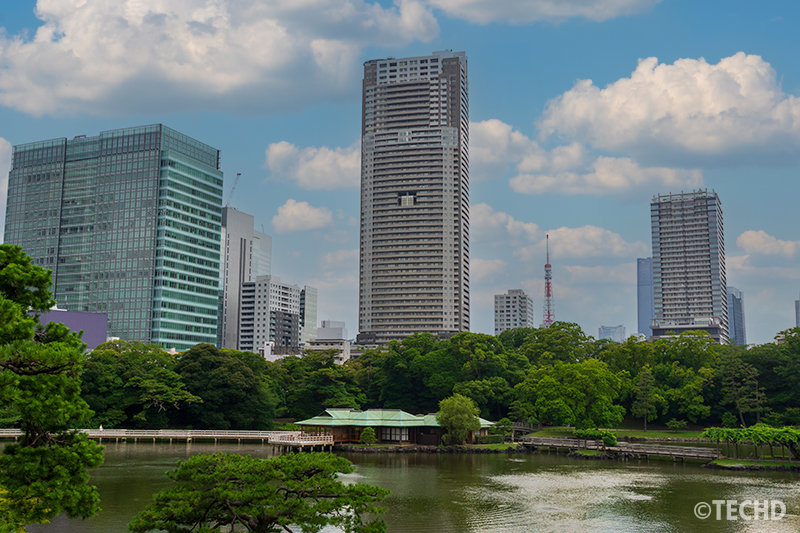 After(空を置き換え後)の風景写真