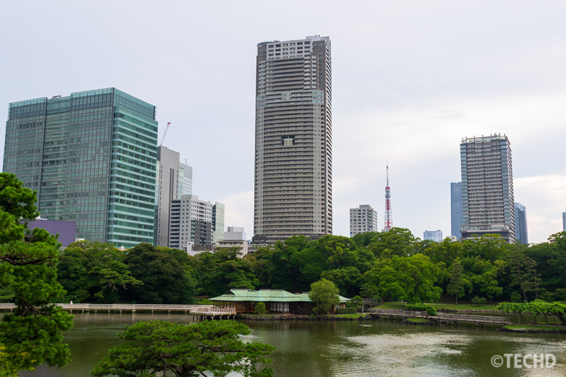 浜離宮恩賜庭園の御亭山から見下ろす潮入りの池と中島の御茶屋。背景に東京タワーと高層ビルが立ち並ぶ。