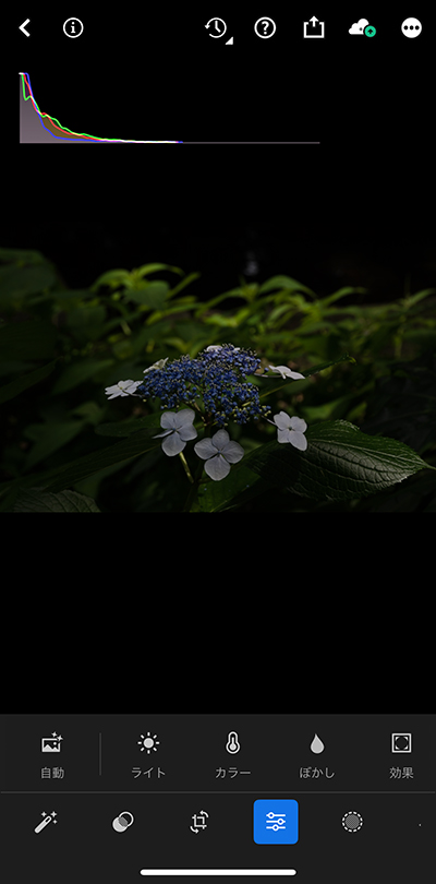 Lightroomモバイルに読み込んだRAWデータの画像