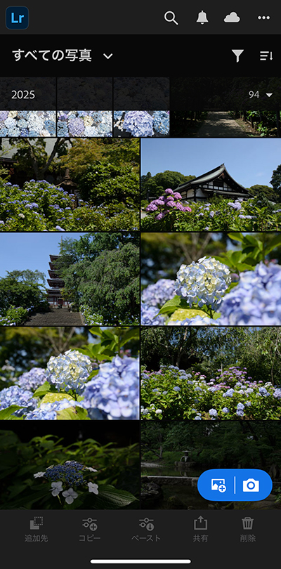 Lightroomモバイルに画像が表示された画面