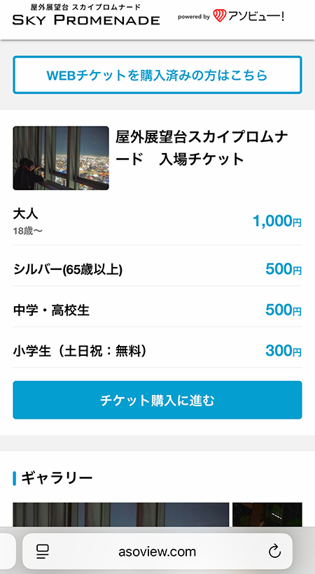 アソビュー!のWEBチケットが購入できる画面。スマホ提示で並ばずに入場できるので便利。