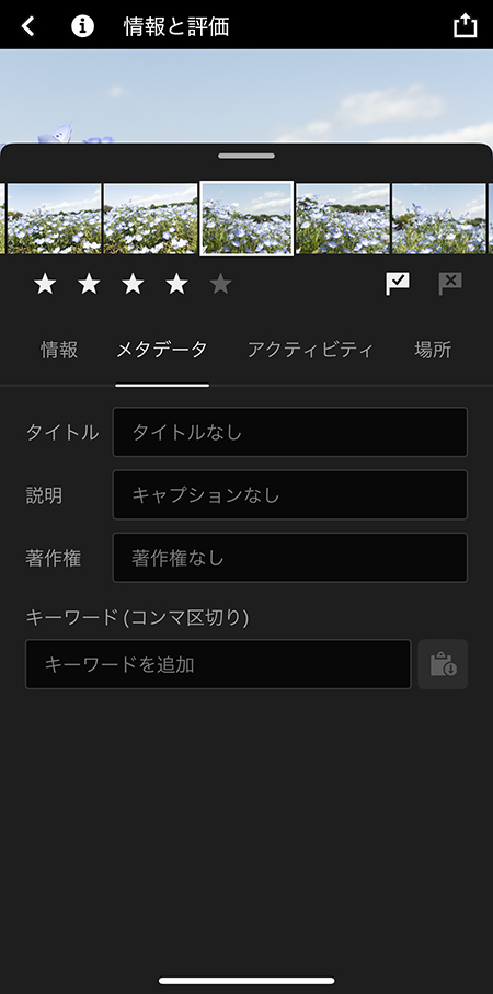 星マークやフラグを使ったフィルタリング操作の画面