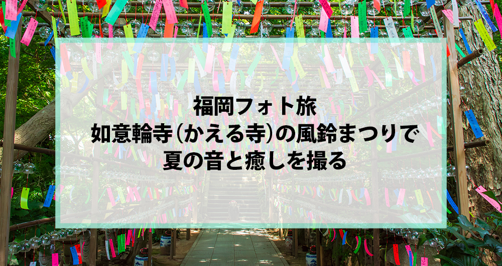 福岡フォト旅｜如意輪寺（かえる寺）の風鈴まつりで夏の音と癒しを撮る