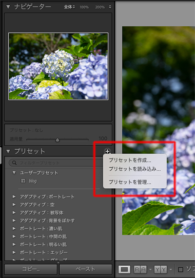 Lightroom Classicのプリセットパネルで、右上の「+」メニューから「プリセットを読み込み」オプションを選択している画面