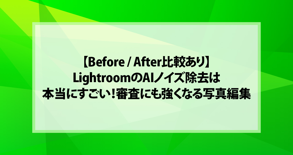 【Before / After比較あり】LightroomのAIノイズ除去は本当にすごい！審査にも強くなる写真編集