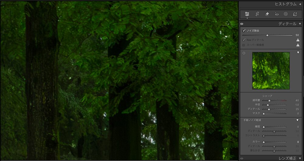 Lightroomでノイズ除去を行った後の写真。木々の葉や幹の粒状感が抑えられ、滑らかで自然な仕上がりに改善された状態。