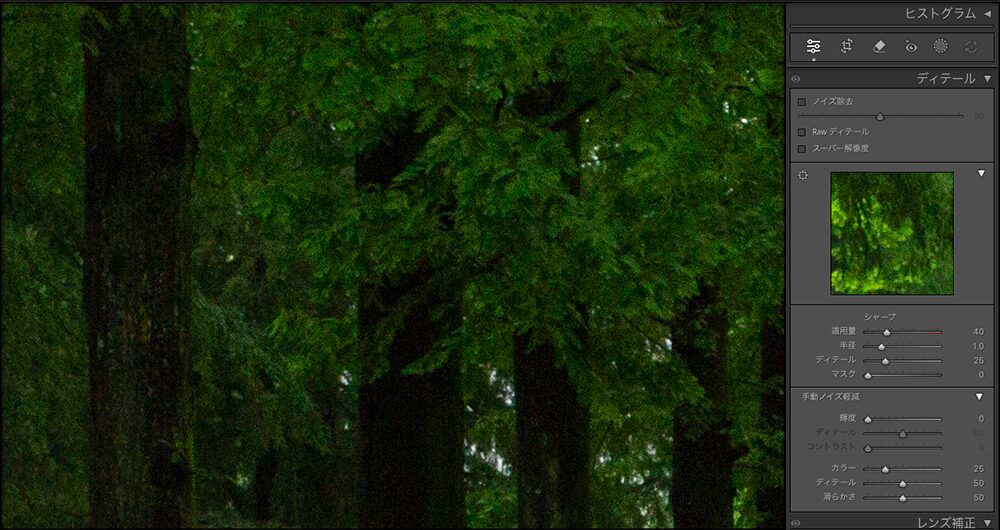 Lightroomで編集する前の写真。木々の葉や幹にノイズが多く、粒状感が強く残っている状態。