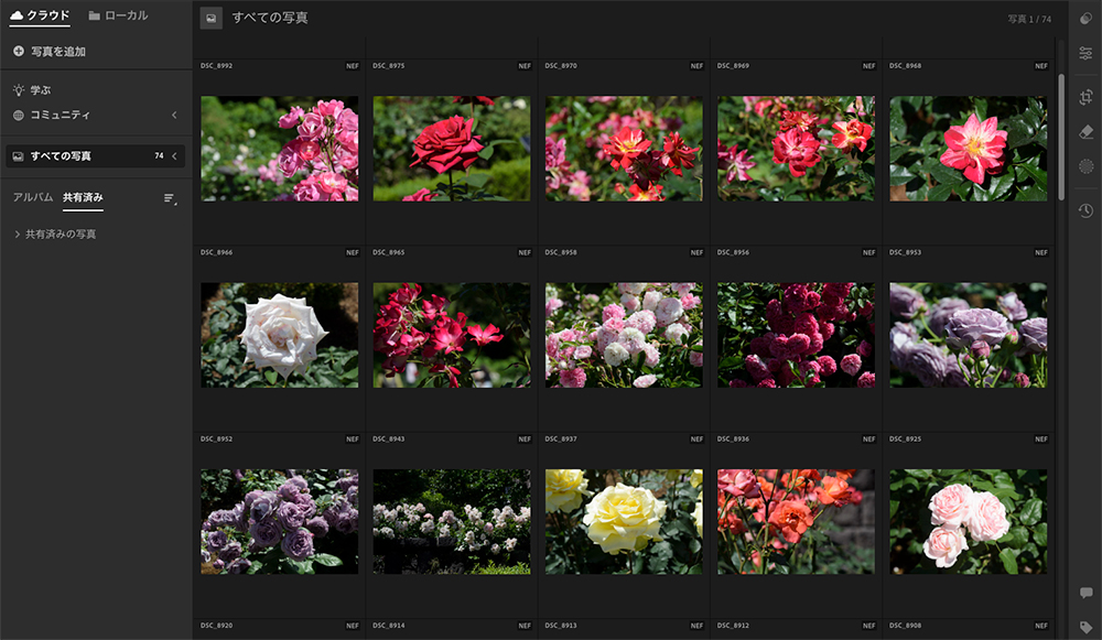 Lightroomのライブラリ画面で、バラの写真が一覧表示されている様子。RAW現像や整理、キーワード付けが可能な管理画面。