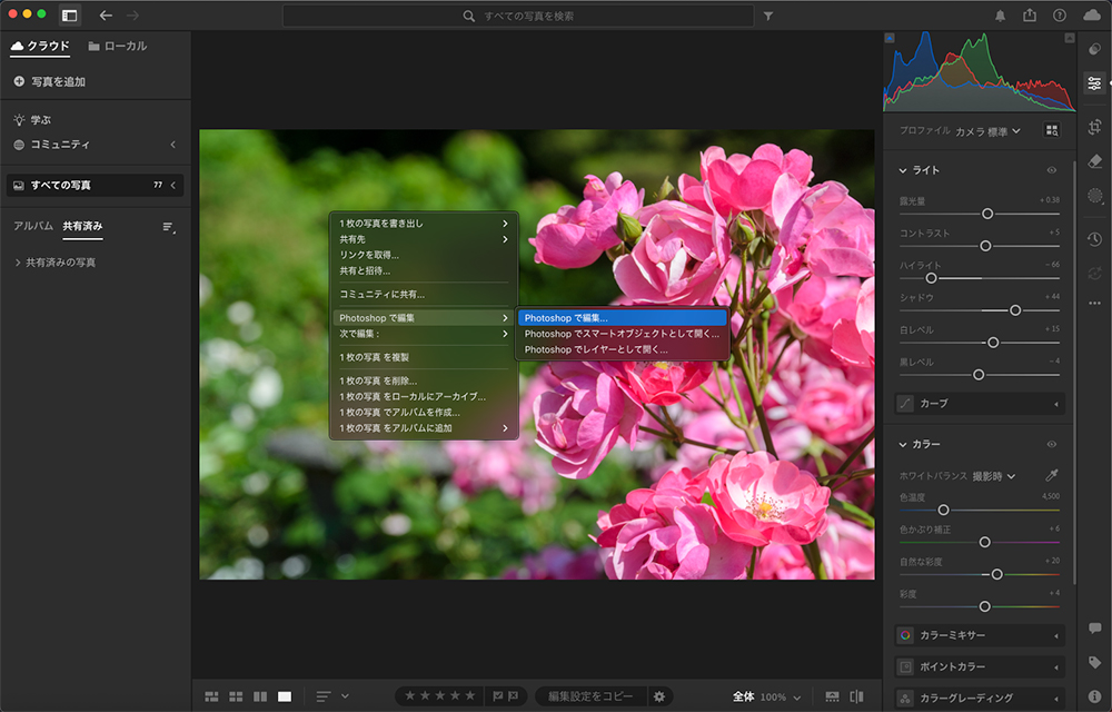 Lightroomの編集画面で、ピンクのバラの写真を表示しながら右クリックメニューを開き、「Photoshopで編集」を選択している様子。これによりLightroomからPhotoshopへ直接連携できる。