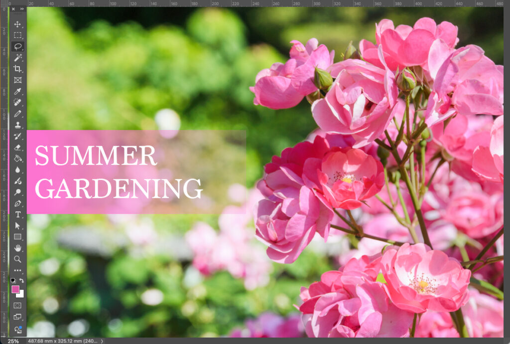 Photoshopの編集画面で、ピンクのバラの写真に「SUMMER GARDENING」というテキストを追加してデザイン加工している様子。