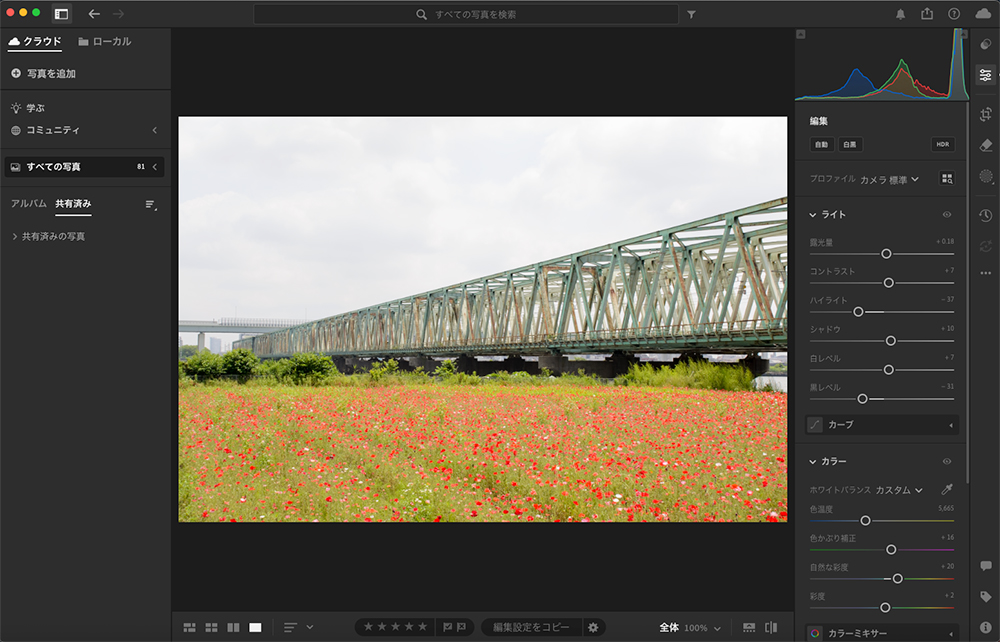 Lightroomの編集画面で、鉄橋と手前に広がる赤い花畑の写真をRAW現像で補正している様子。明るさや色味を調整し、全体を自然な仕上がりに整えている。