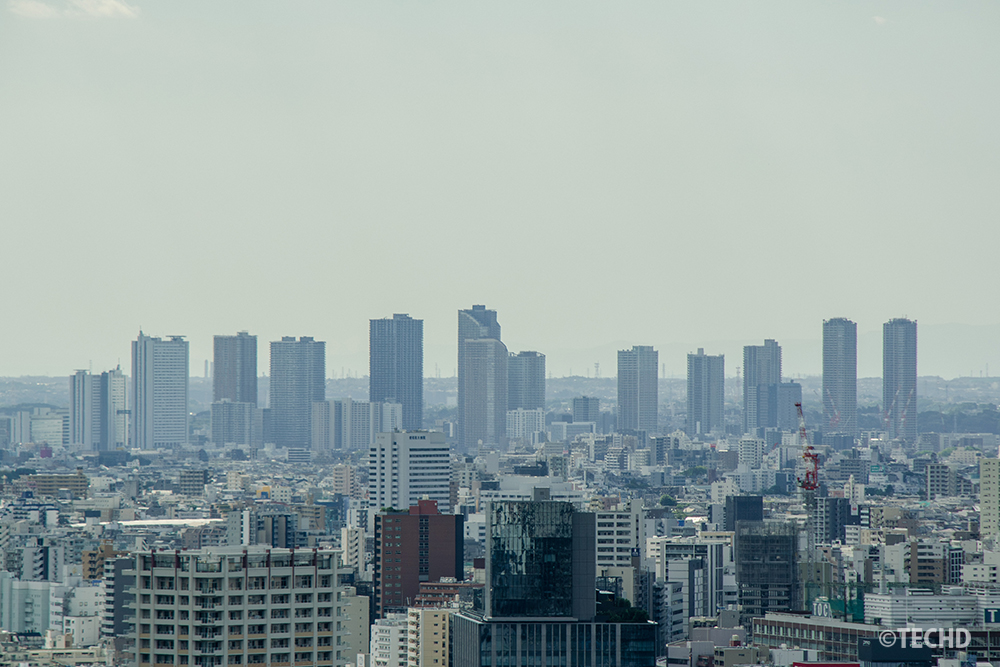 武蔵小杉のタワーマンション群。都市の広がりを感じられる眺め。