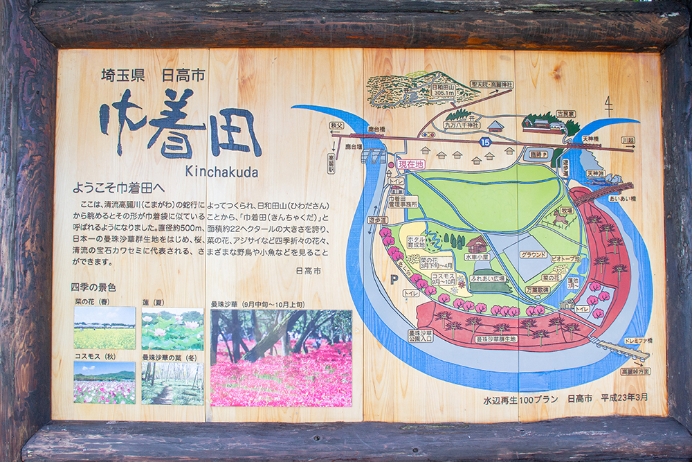 埼玉県日高市の巾着田曼珠沙華公園入口にある案内看板。曼珠沙華群生地や散策ルートが描かれたイラストマップと説明文。