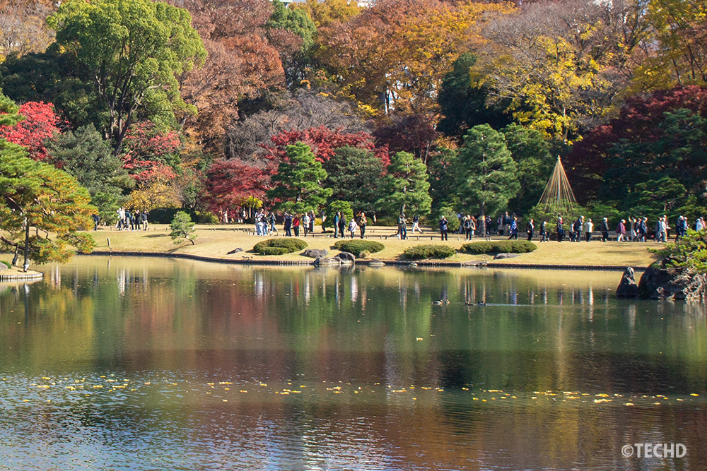 六義園の池のほとりに広がる紅葉と、多くの来園者が行き交うにぎやかな園内の様子。水面に赤・黄・緑の秋色が映り込んだ風景写真。