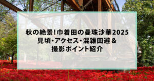 秋の絶景！巾着田の曼珠沙華2025｜見頃・アクセス・混雑回避＆撮影ポイント紹介