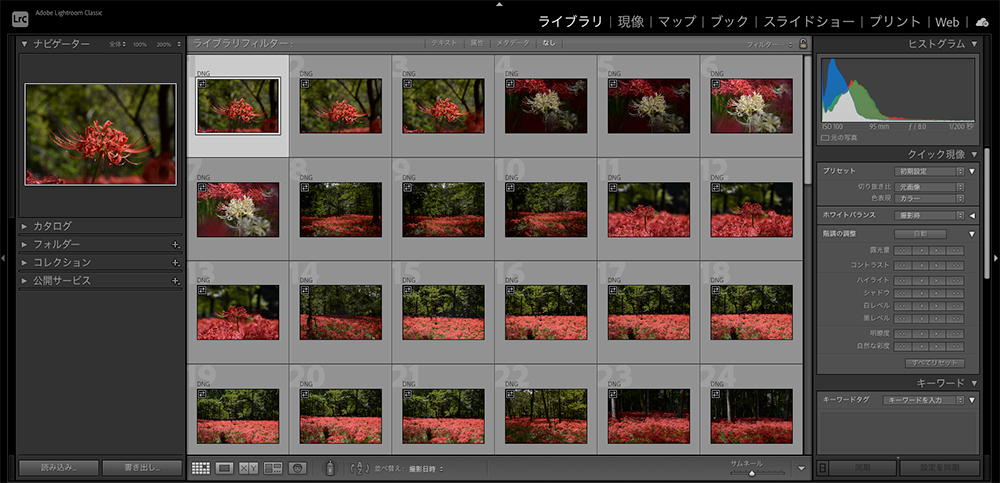 Lightroom Classicのライブラリ画面。左にフォルダとカタログ、中央に花の写真サムネイル一覧、右にヒストグラムやメタデータパネルが表示されている
