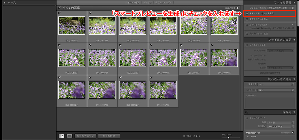 Lightroom Classicの画面。「スマートプレビューを生成」にチェックが入っていることを説明している