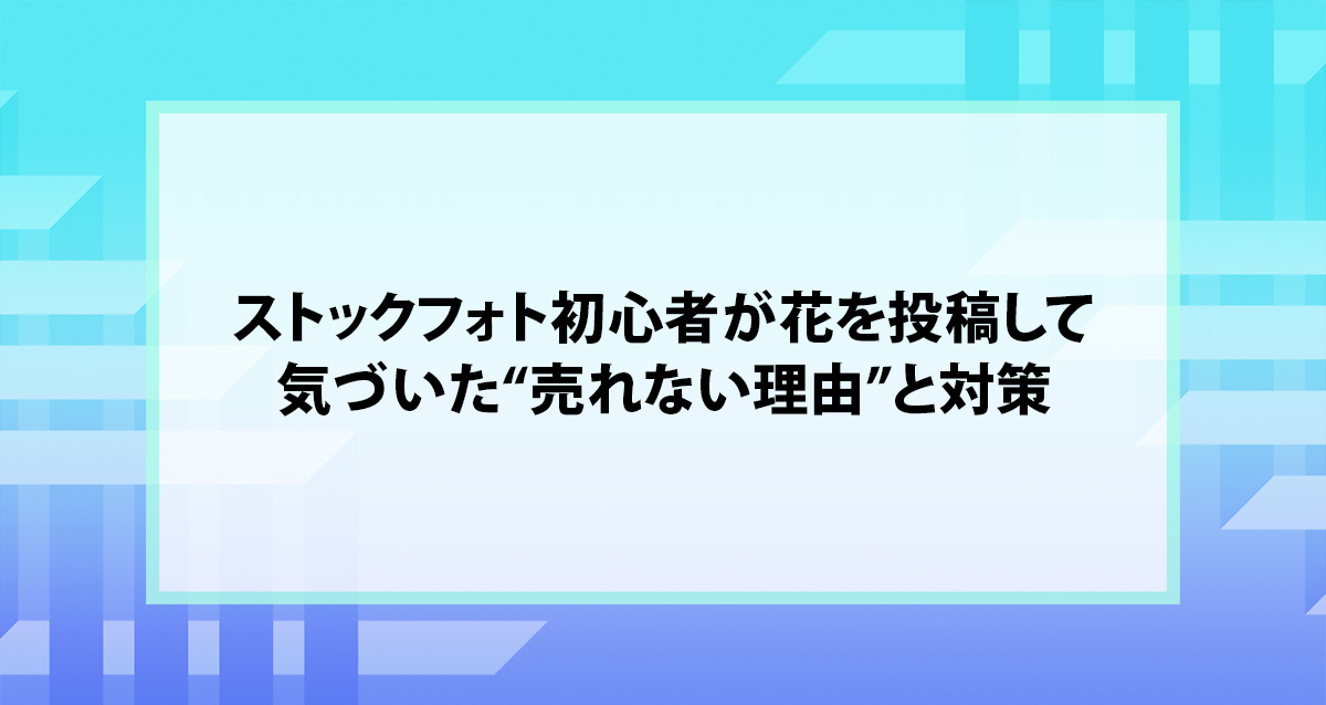 ストックフォト初心者が花を投稿して気づいた“売れない理由”と対策
